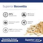 Superior Labs Boswellia Serrata 500mg, 65% Acids, Joint Comfort, 240 Caps