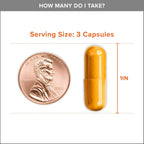 Turmeric Curcumin with Black Pepper & Ginger, 2400mg Turmeric Extract with 95% Curcuminoids, Extra Strength Supplement,