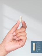 Horbäach MSM Supplement Capsules | 1000mg | 250 Count