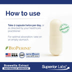Superior Labs Boswellia Serrata 500mg, 65% Acids, Joint Comfort, 240 Caps