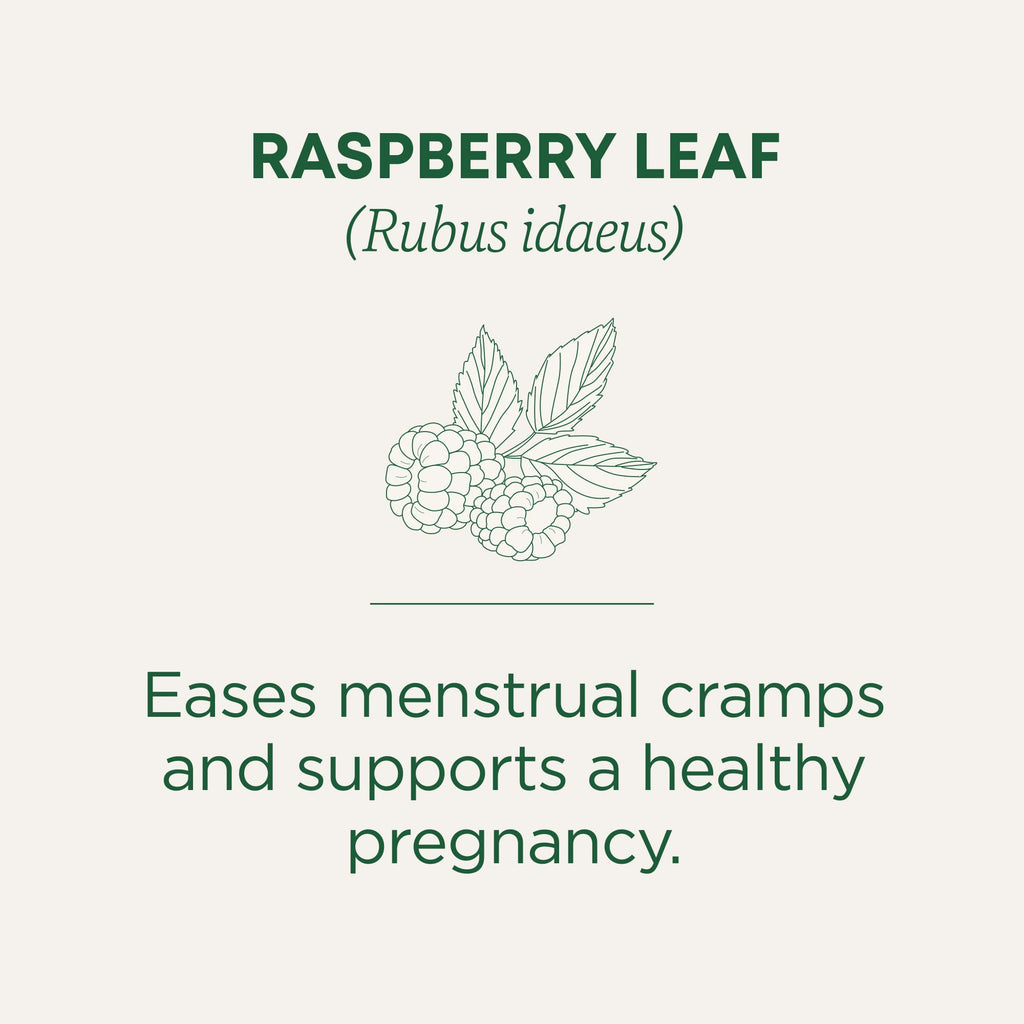 Buy now Traditional Medicinals Organic Raspberry Leaf Herbal Tea, Eases Menstrual Cramps & Supports Healthy Pregnancy, (Pack of 1) - 16 Tea Bags at indiglob india