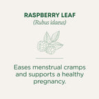 Buy now Traditional Medicinals Organic Raspberry Leaf Herbal Tea, Eases Menstrual Cramps & Supports Healthy Pregnancy, (Pack of 1) - 16 Tea Bags at indiglob india