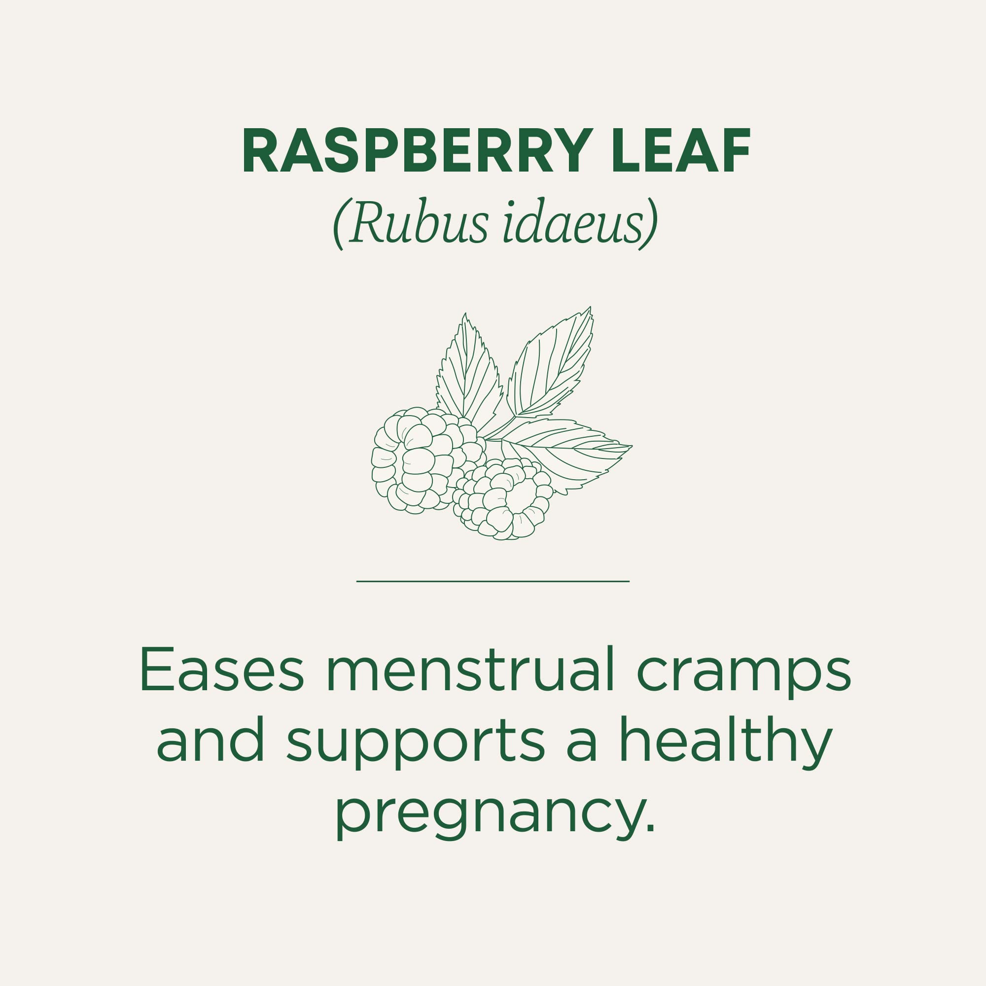 Buy now Traditional Medicinals Organic Raspberry Leaf Herbal Tea, Eases Menstrual Cramps & Supports Healthy Pregnancy, (Pack of 1) - 16 Tea Bags at indiglob india