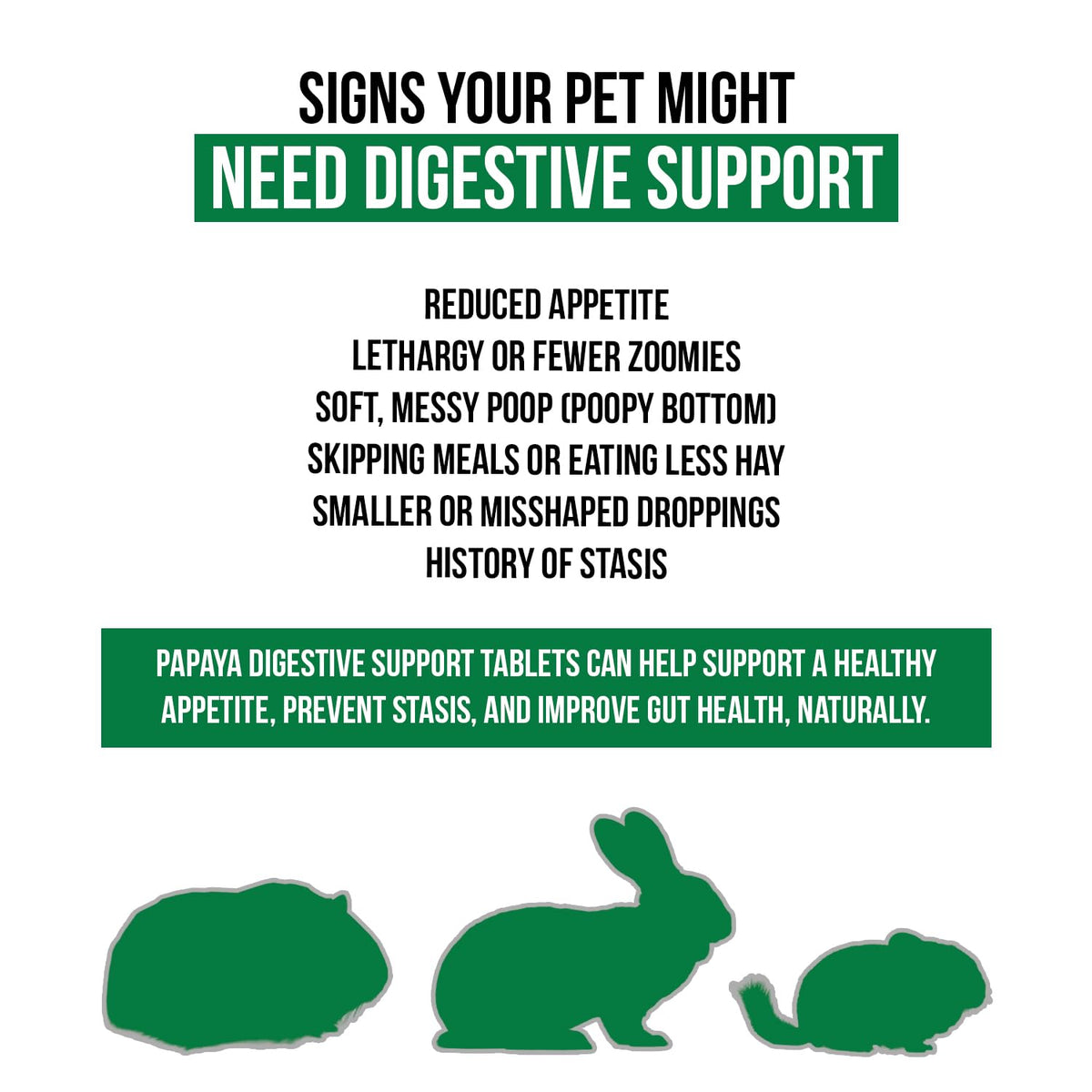 Digestive Support, Papaya by Sherwood Pet Health (100 Tablets - 60 Grams). Contains Natural Motility Herbs that Regulate the Digestive Tract, Improve the Gut microbiome and Stimulate the Appetite.