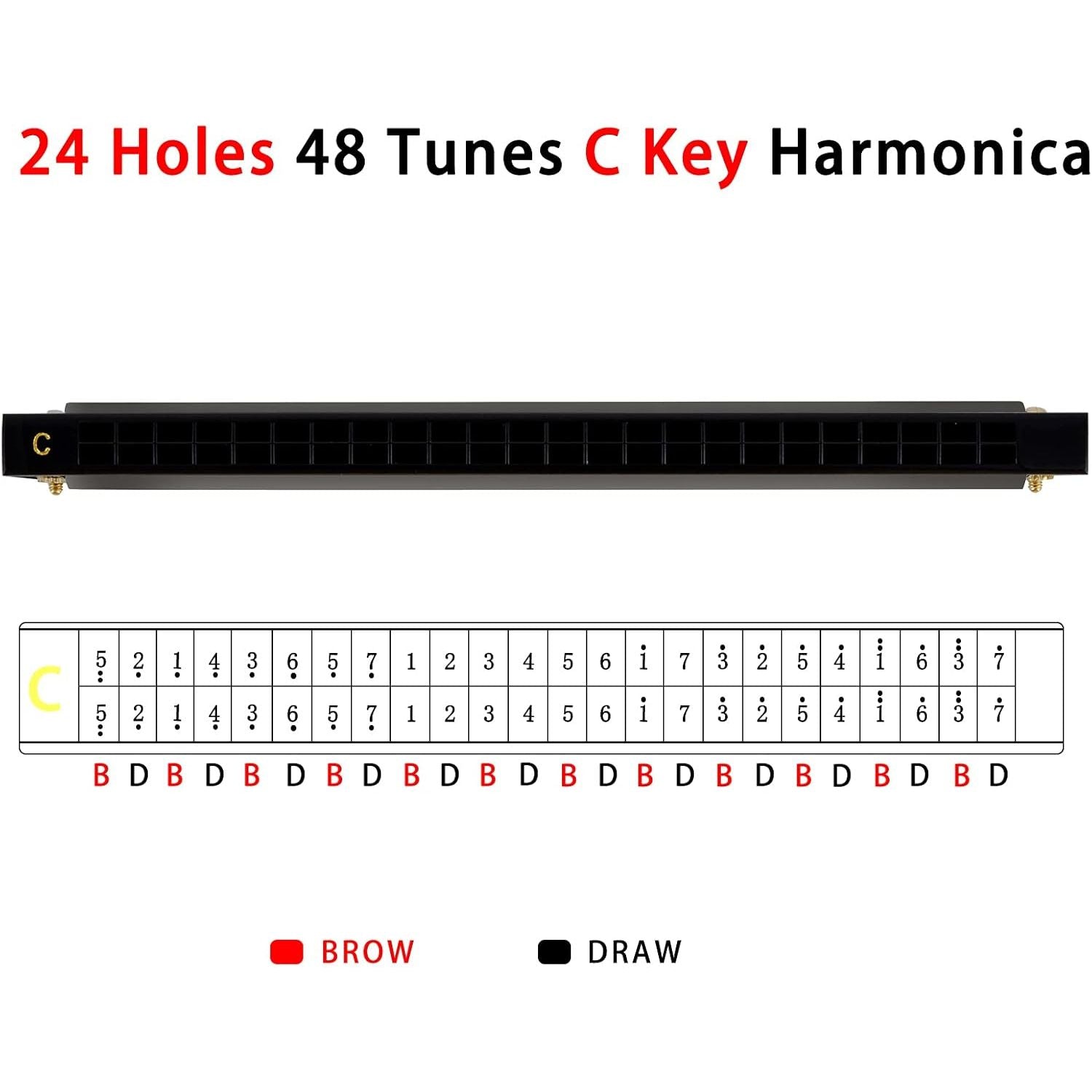 Buy now EastRock Blues Harmonica 24 Hole C Key with Case, Mouth Organ Harp, Diatonic Harmonica for Beginner, Adult, Kids, Professional, Students, Friends, Gifts at indiglob india