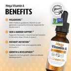 Dr. Green Mom Mega Vitamin A Liquid Drops | 1500 mcg RAE Per 1 Drop, 1180 Servings Per Bottle | Certified Organic, Non-GMO in Organic MCT Oil | Retinyl Palmitate | Infants, Kids & Adults | 1 fl oz