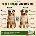 Milk Thistle for Dogs - Max Strength Liver Support Chews, Wild Alaskan Salmon Oil & Curcumin - Kidney Detox & Hepatic Support - Natural Liver Support Chews Made with Real Chicken, Choline & NAC