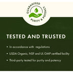Buy now Stinging Nettle Root 500 mg 100 Caps at indiglob india