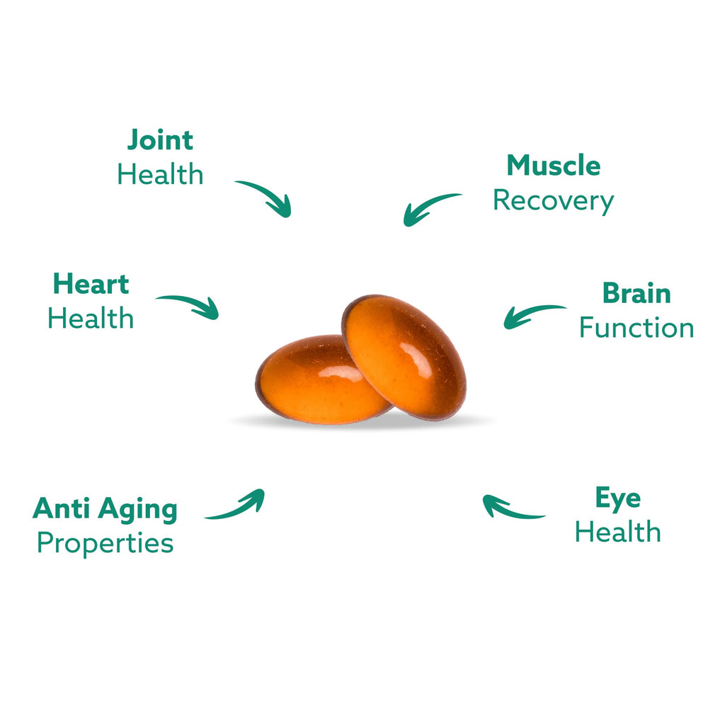 Haka Life GLX3 Green Lipped Mussel Oil Capsules for Joint and Muscle Support | Extra-Strength Omega-3 Green Lipped Mussel Supplement for Comfort, Flexibility & Recovery | Contains ETA, EPA, DHA