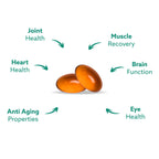 Haka Life GLX3 Green Lipped Mussel Oil Capsules for Joint and Muscle Support | Extra-Strength Omega-3 Green Lipped Mussel Supplement for Comfort, Flexibility & Recovery | Contains ETA, EPA, DHA