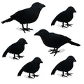 NEROSUN 6 Pack Halloween Black Feathered Crows, 5.7" & 8.7" Realistic Feathered Black Birds Raven, Halloween Decoration for Indoor Outdoor Home Yard Garden Party Decor