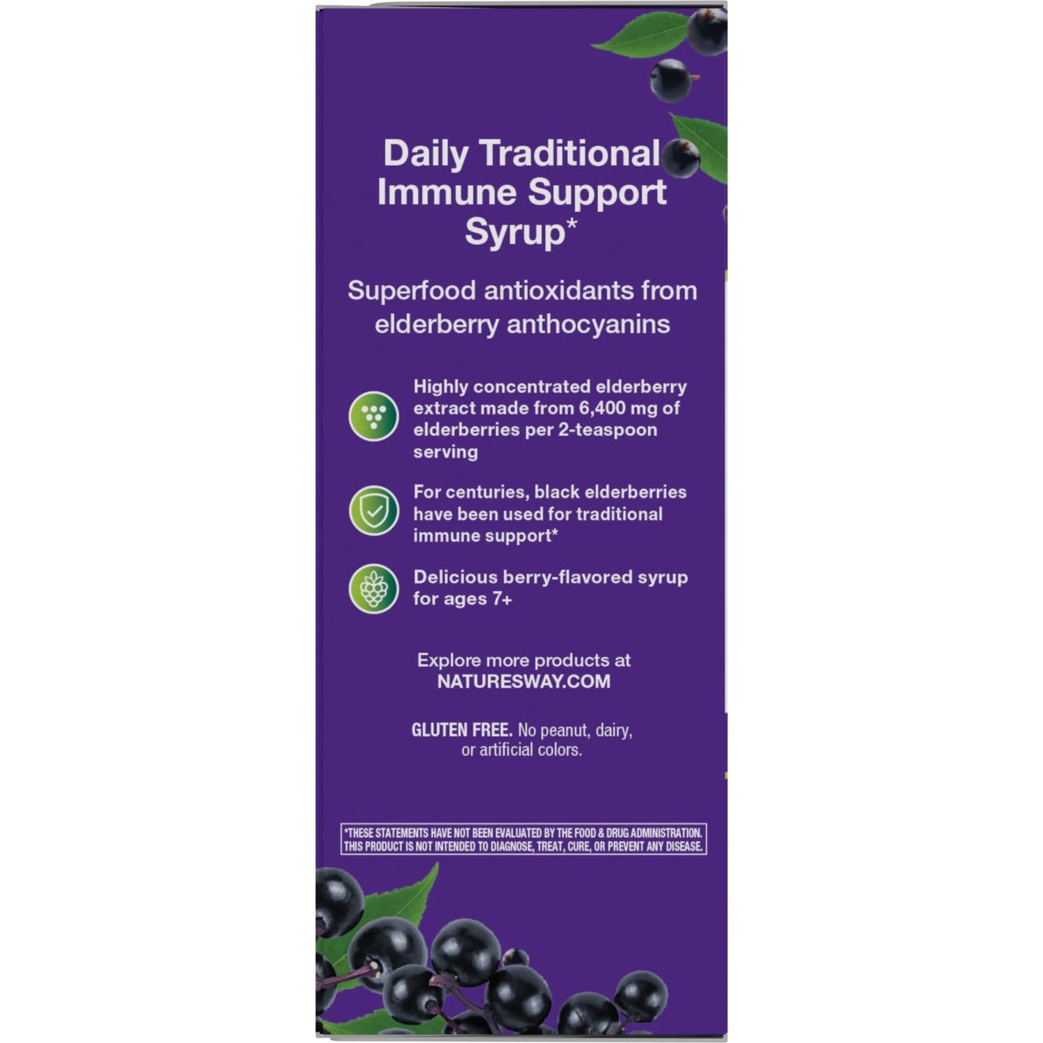 Nature's Way Sambucus Traditional Elderberry Immune Support* Syrup, 4 fl oz | Traditional Immune Support* with Highly Concentrated Black Elderberry Extract & Superfood Antioxidants, Adults & Kids 7+