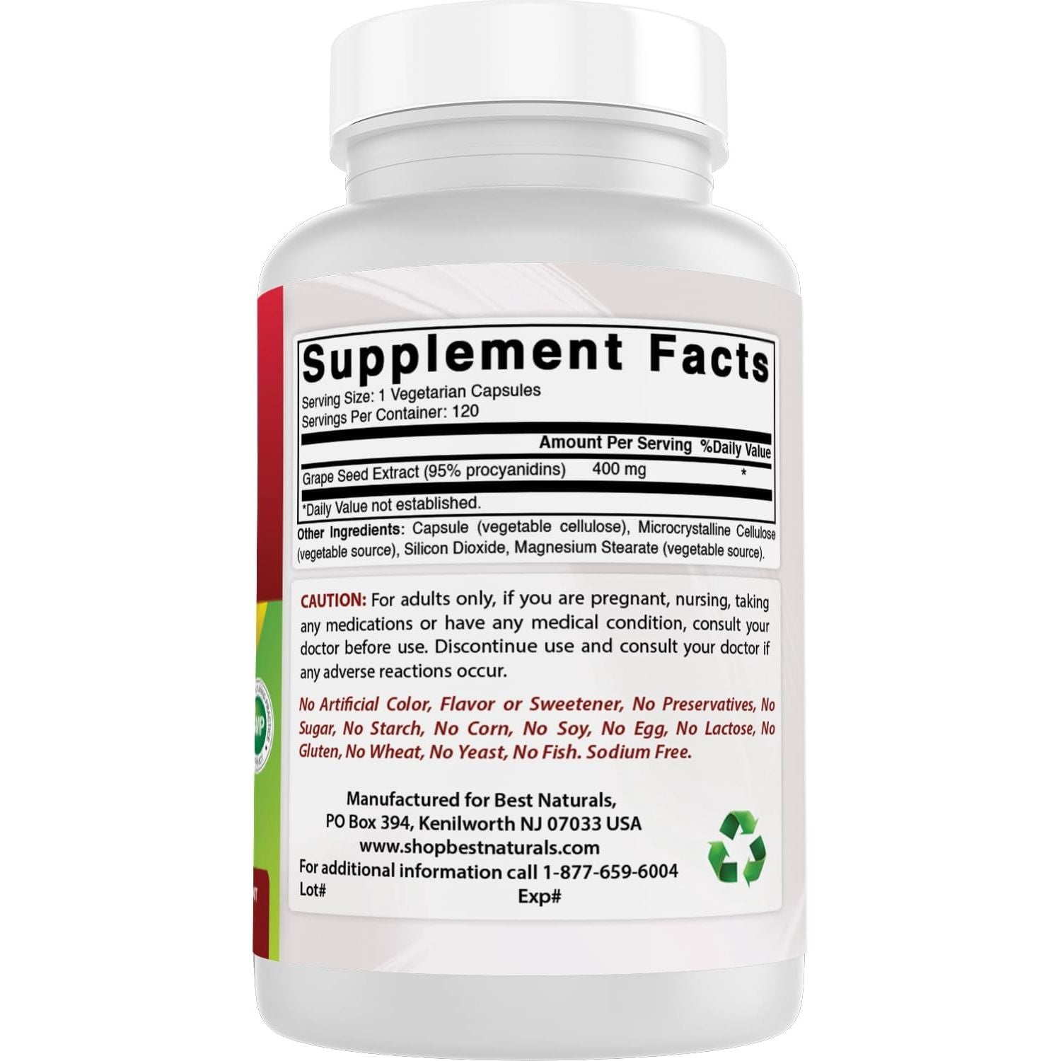 Buy now Best Naturals Grape Seed Extract 400 mg Veggie Capsule, 120 Count at indiglob india