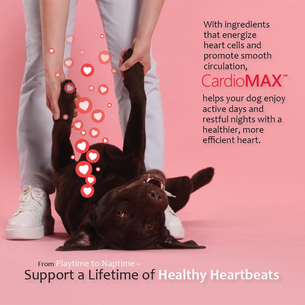 Heart Support Supplement for Dogs-Vet-Formulated, Antioxidant-Rich-L-Taurine, L-Carnitine,EPA,DHA,CoQ10-Aids Circulatory Strength, Cardiovascular Support, Heart Muscle Function-USA Made-60 Soft Chews