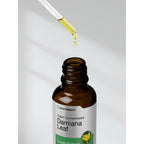 Horbäach Damiana Leaf Herb Tincture | 2 fl oz | Super Concentrated