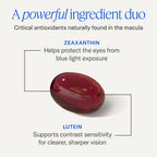 EyePromise Zeaxanthin + Lutein Eye Health Supplements, 60 Softgels | Lutein and Zeaxanthin Supplements to Enhance and Support Healthy Vision, 30-Day Supply (Packaging May Vary)