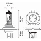 Buy now HELLA H4P50TB +50 Performance Bulb, 12V, 60/55W, 2 Count (Pack of 1) at indiglob india