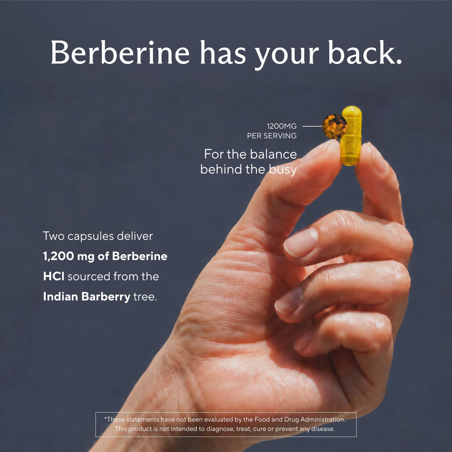 Berberine Supplement, Berberine HCl, 1,200 mg per Serving, 60 Capsules | Supports healthy glucose metabolism and metabolic wellness; 600 mg per vegetarian capsule from Berberis aristata