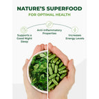 PURA VIDA MORINGA Organic Moringa Capsules, Pure Moringa Leaf Powder Single Origin for Energy, Metabolism & Immune Support, 120ct, 500mg Caps