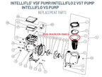 Pool Ruler 350013 Replacement Pump Lid O-Ring 2 Pack + Lubricant, Compatible with Select Pentair IntelliFlo and WhisperFlo Pumps
