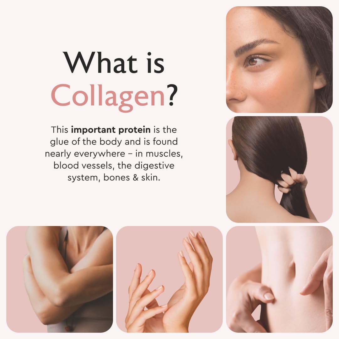 Alaya Multi Collagen Capsules, 5 Types, MSM, Grass-Fed, 120 Count
