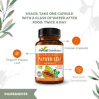 Herbal Goodness Papaya Leaf Extract Digestive Enzymes Capsule for Platelet