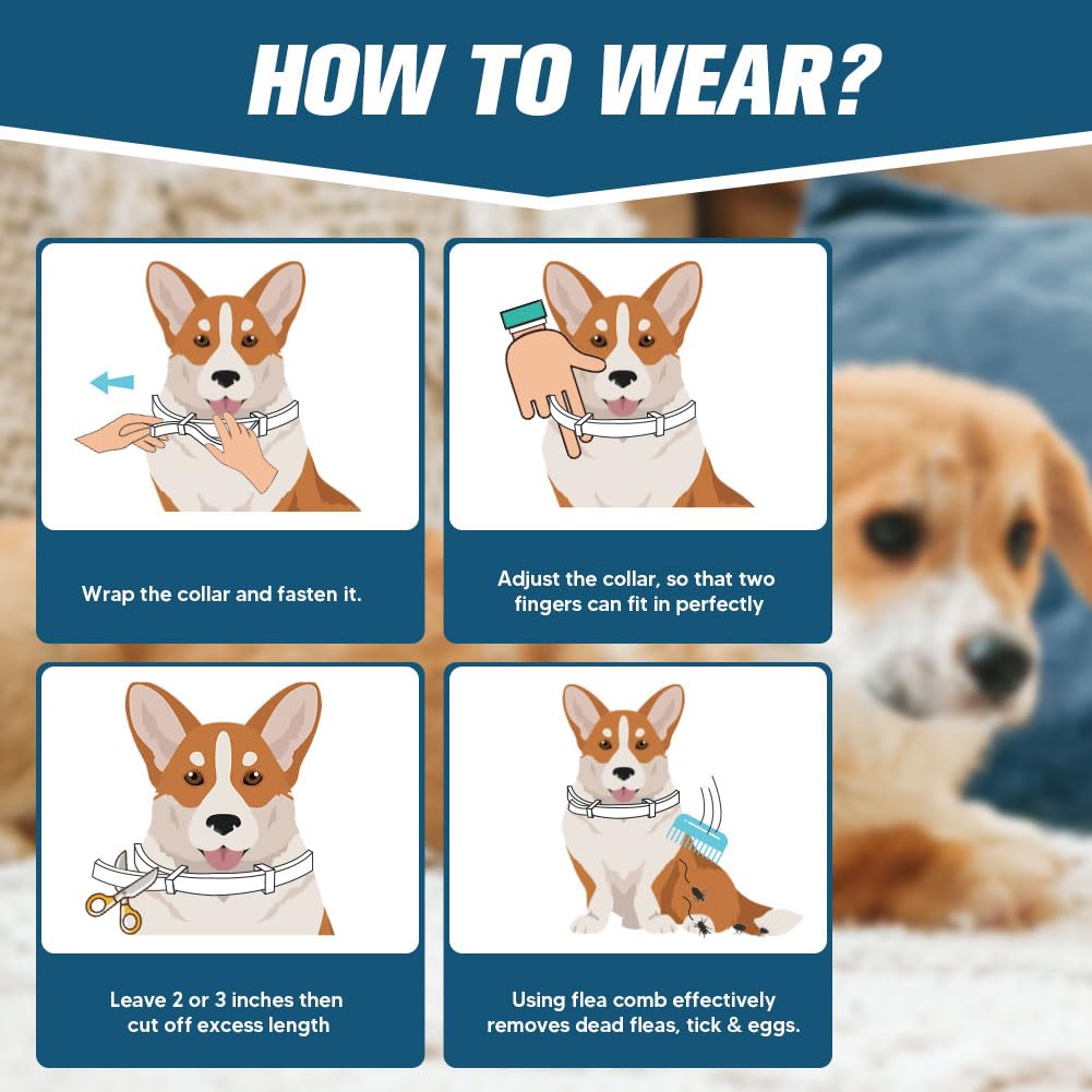 Flea Collar for Dogs Small, Flea & Tick Collar for Small Dogs 4 Pack