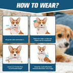 Flea Collar for Dogs Small, Flea & Tick Collar for Small Dogs 4 Pack