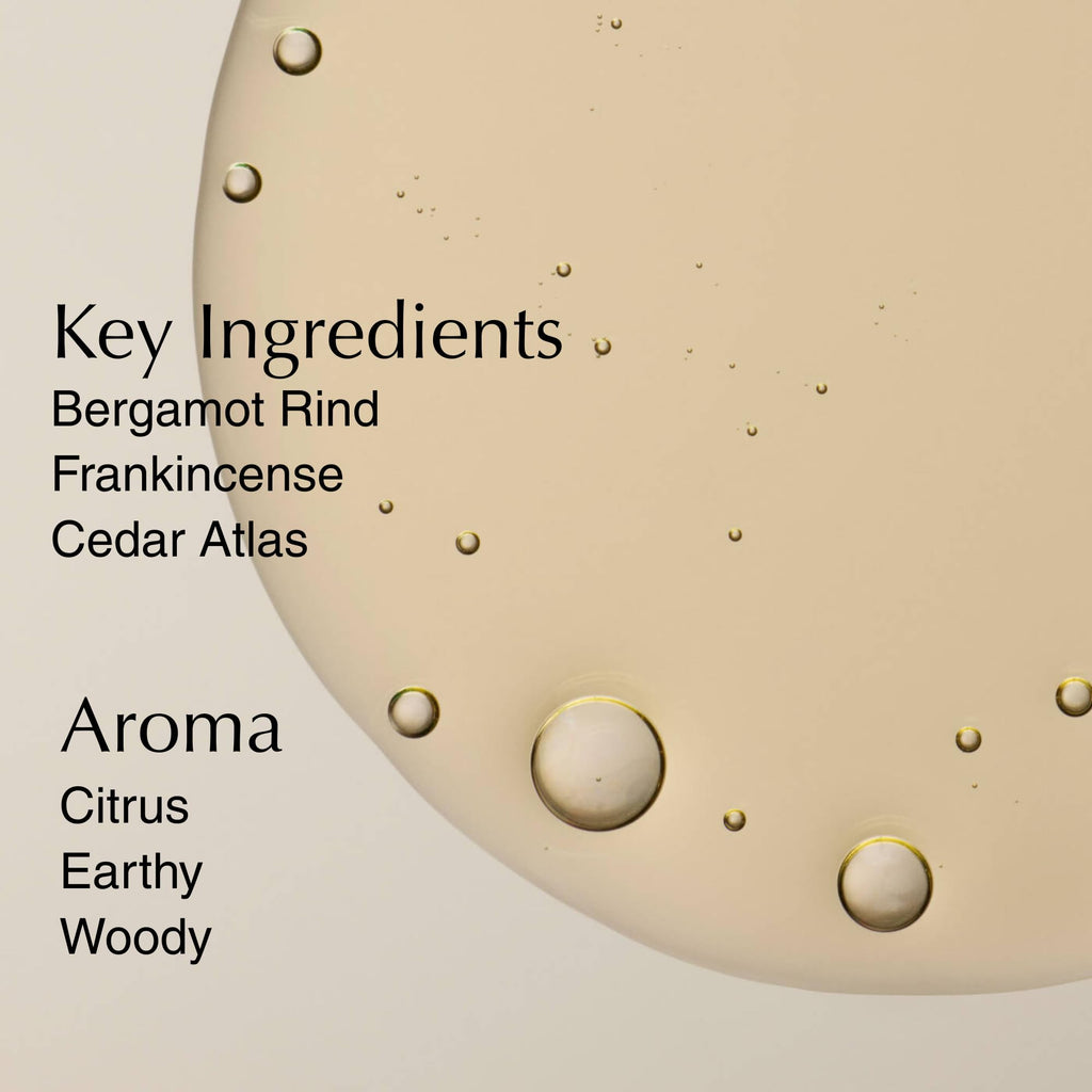 Aesop Shampoo Refill | Soften Hair and Restore Shine - For All Hair Types | Bergamot Rind, Frankincense, Cedar Atlas | 16.9 oz / 500mL