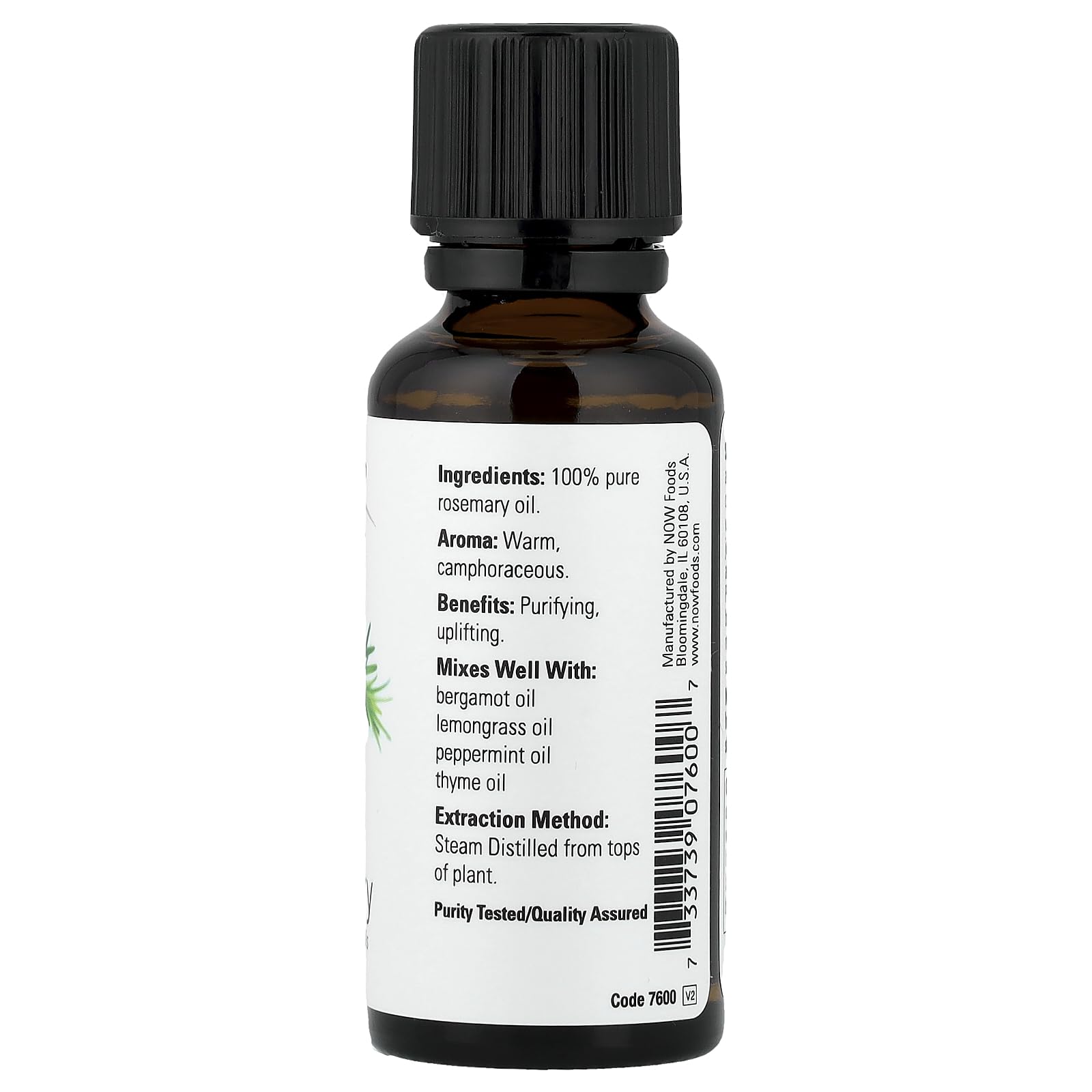 Buy now NOW Essential Oils, Rosemary Oil, Purifying Aromatherapy Scent, Steam Distilled, 100% Pure, Vegan, 1-Ounce at indiglob india