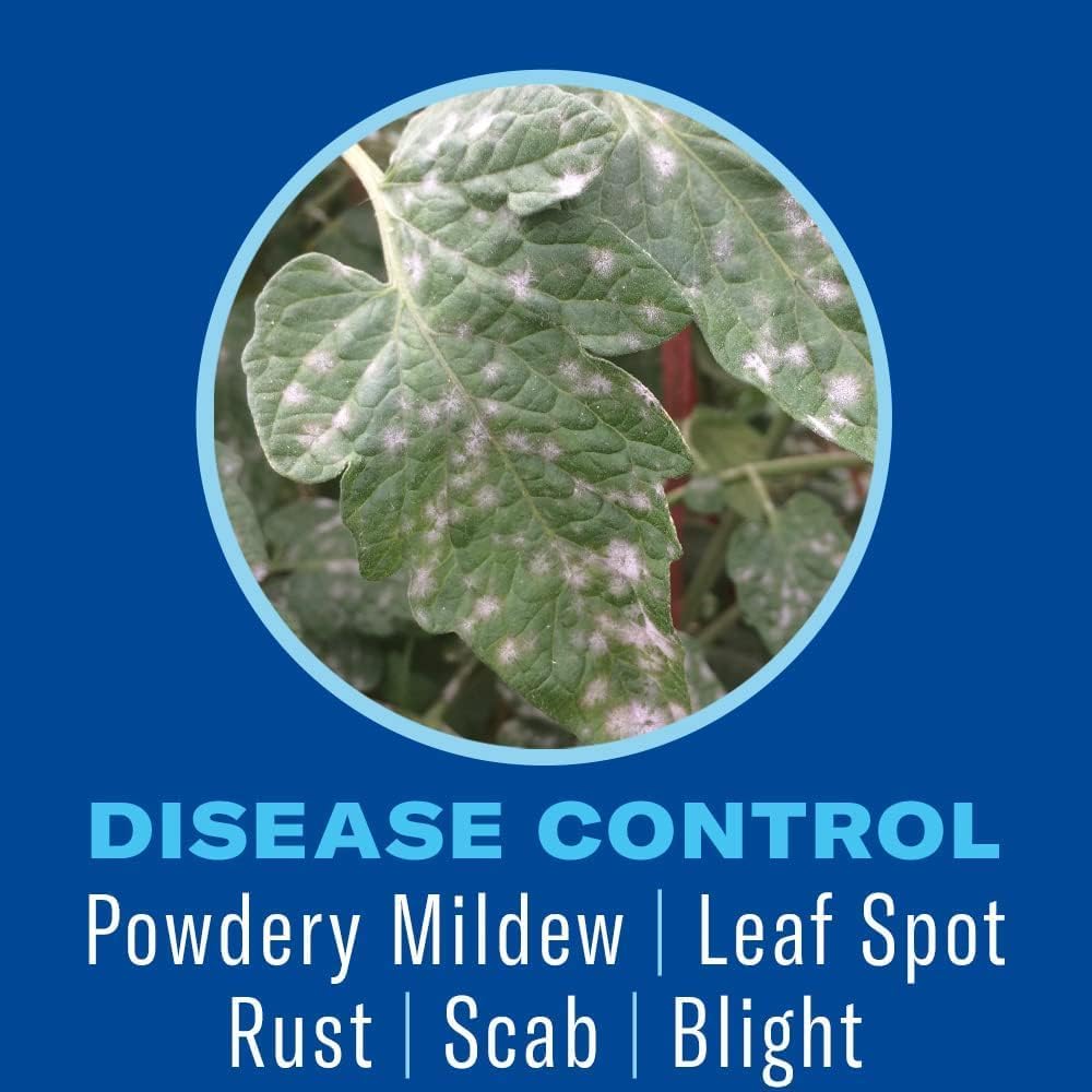 BioAdvanced Houseplant Insect and Mite Control Spray - 24 fl oz Bottle