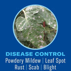 BioAdvanced Houseplant Insect and Mite Control Spray - 24 fl oz Bottle