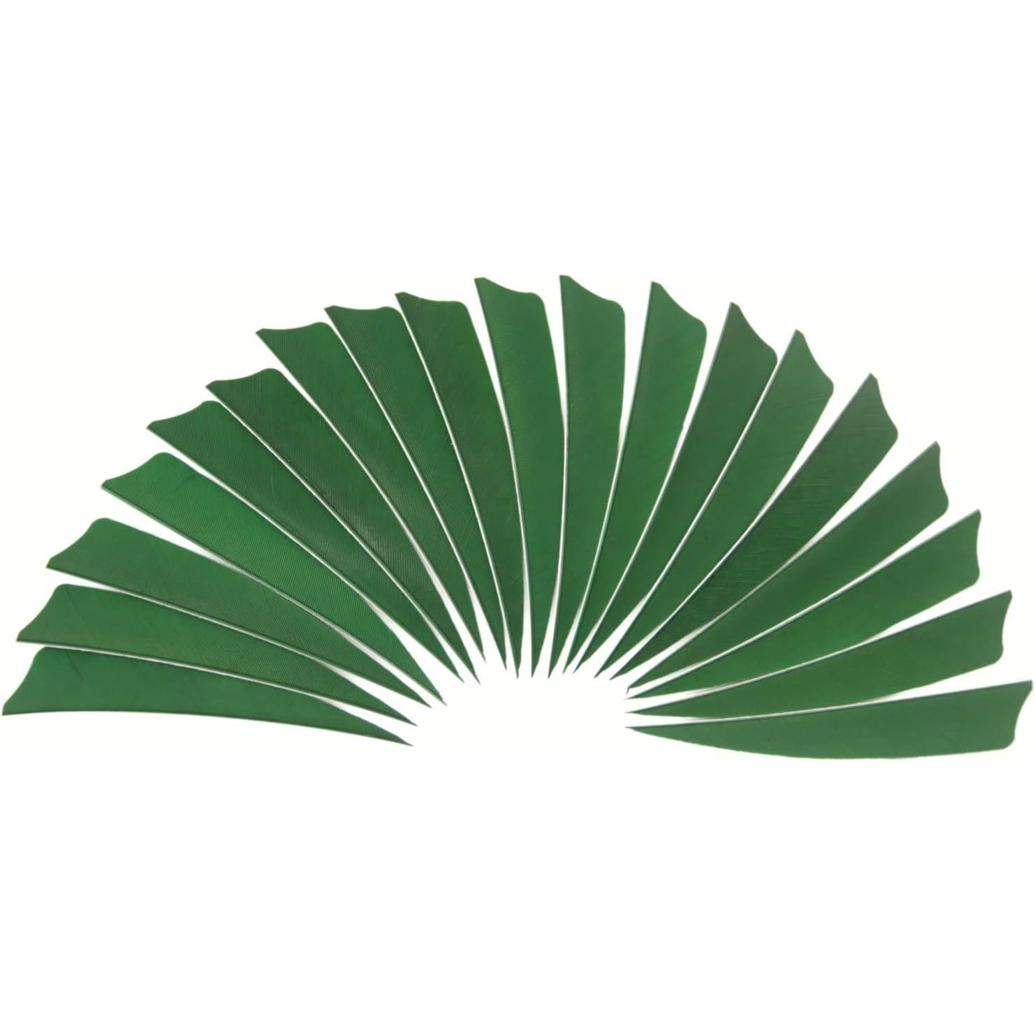 Buy now Arrow Feather 4 Inch Shield Fletching Vanes for Wooden Carbon Bamboo Traditional Arrow(50 Pack) Green at indiglob india