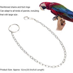 Buy now Rehomy Parrot Foot Chain, Stainless Steel Anti-bite Flying Training Anklet Ring Bird Harness for Parrots Macaw African Greys Parakeet Cockatoo Cockatiel Conure Lovebird at indiglob india