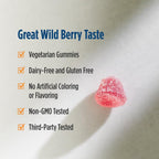 Nordic Naturals Vitamin D3 Gummies,1000 IU D3 + Iron, Wild Berry - 120 Count