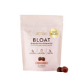 Arrae Bloat Gummies, Sugar-Free with Fiber, Peach Lemon, 60 Count | Ginger, Lemon Balm & Dandelion, Vegan, Gluten-Free, No Fillers, Resealable Pouch