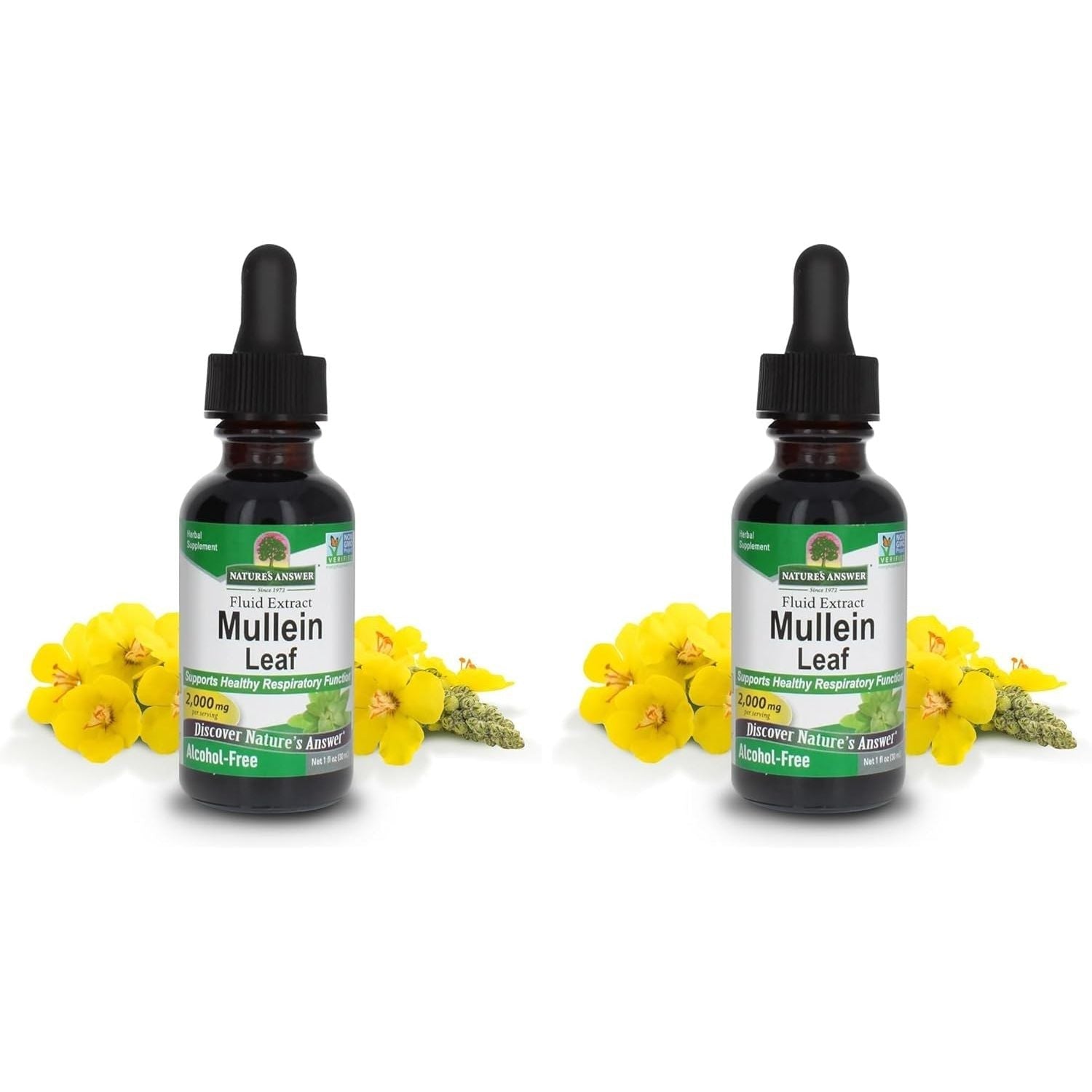 Buy now Nature's Answer Mullein Herb - Mullein Leaf Extract for Lungs - Alcohol Free, Non GMO, Made in USA - Supports Respiratory Function & Promotes Healthy Lungs - Mullein Leaf 1 Ounce Extract 1 Count (Pack of 2) Mullein Leaf at indiglob india