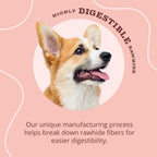 Better Belly Triple Flavor Kabob Highly Digestible Dog Treats, 10 Count