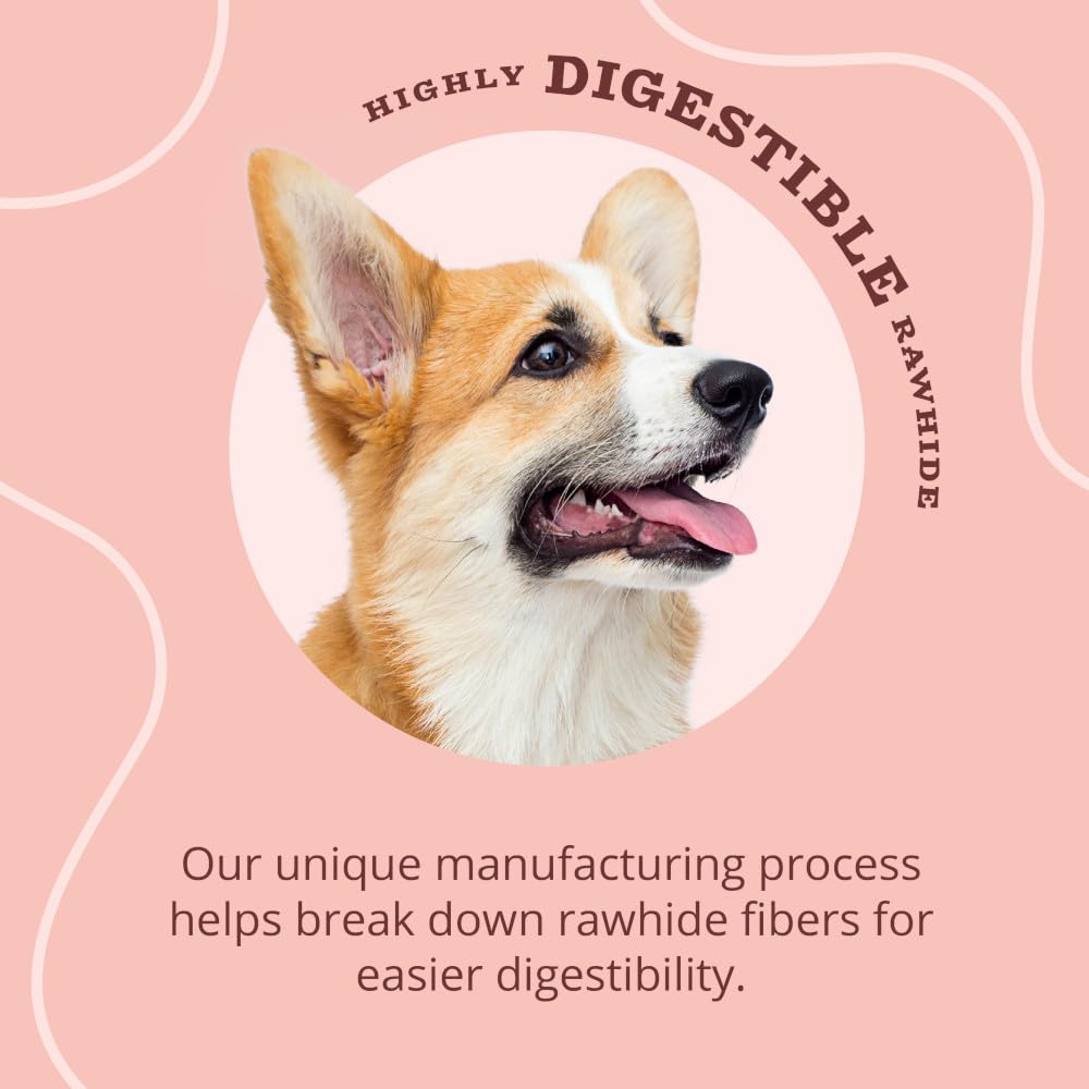 Better Belly Triple Flavor Kabob Highly Digestible Dog Treats, 10 Count