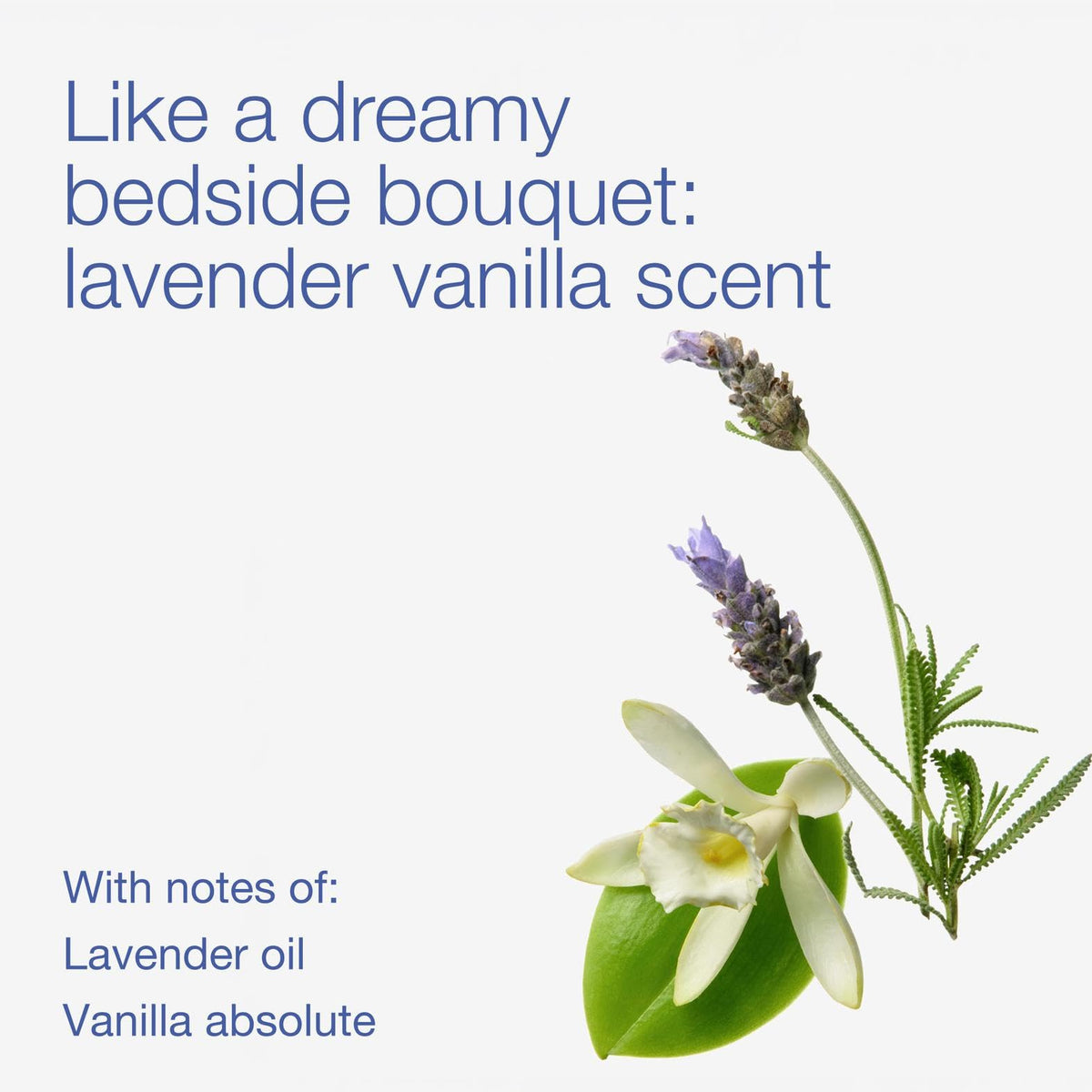Bath & Body Works Wallflowers Refills, Lavender Vanilla Scent, 6 Pack