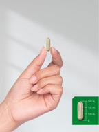 Horbäach Moringa Oleifera | 300 Powder Capsules | Complete Green Superfood