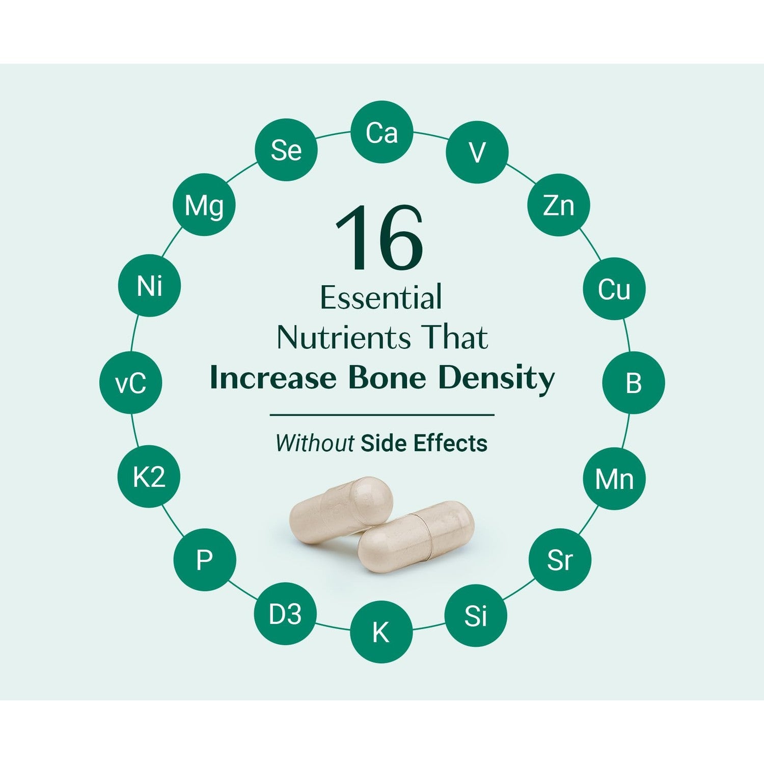 ALGAECAL Plus Calcium Supplement for Bone Density, D3 K2, 120 Caps, 3 Packs | Organic red algae calcium with D3 (1600 IU), K2 MK-7 (100mg), magnesium (350mg) & trace minerals for stronger bones.