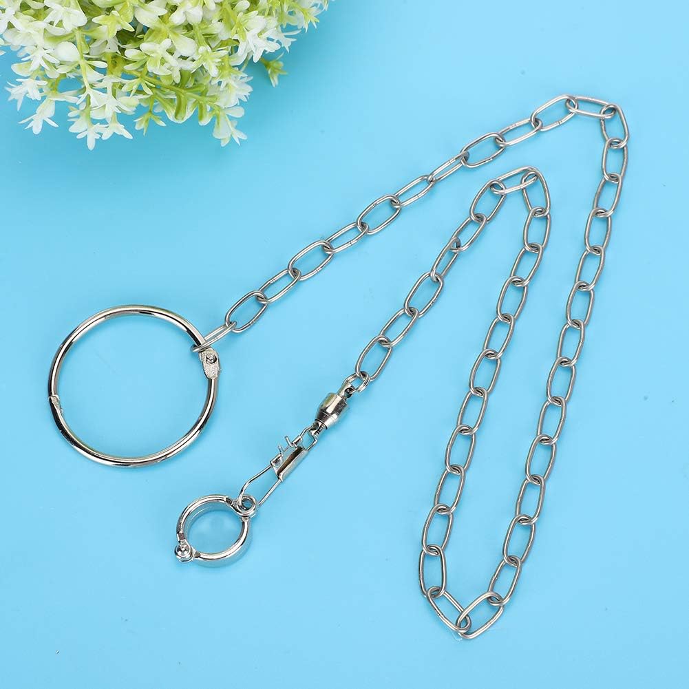 Buy now Rehomy Parrot Foot Chain, Stainless Steel Anti-bite Flying Training Anklet Ring Bird Harness for Parrots Macaw African Greys Parakeet Cockatoo Cockatiel Conure Lovebird at indiglob india