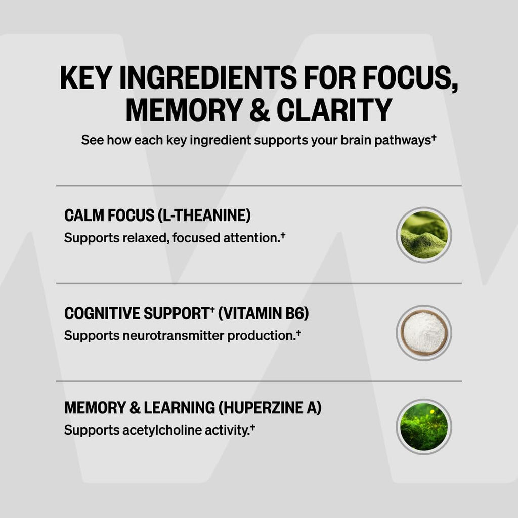 ONNIT Alpha Brain Nootropic Brain Supplement for Focus & Memory, 90 Count | IGEN Non-GMO Tested; L-Theanine, Alpha GPC & Vitamin B6; brain supplement for memory, focus & mental clarity, men & women