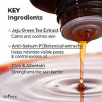 Buy now ISNTREE Green Tea Fresh Toner 200ml, 6.76 fl.oz | Korean Skincare | Toner for Oily Skin | Sebum Control | Hydrating and Refreshing at indiglob india