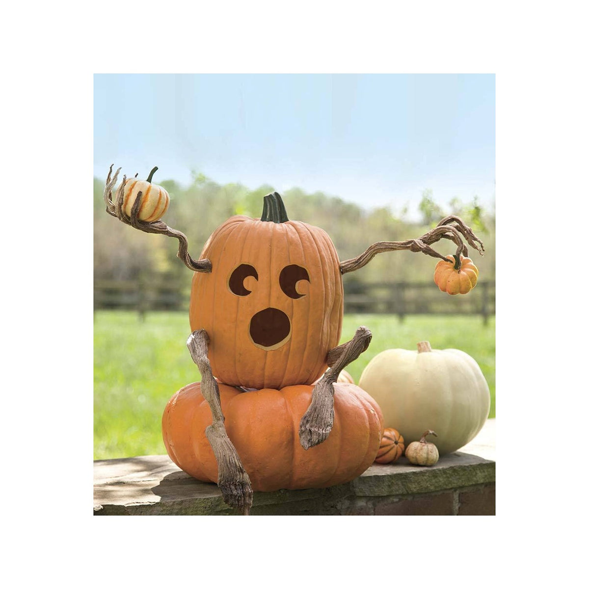 Plow & Hearth Set of 4 Bendable Pumpkin Arms and Legs | Twisting Vines for Halloween Pumpkin Carving DIY Crafts for Kids | Includes 2 arms and 2 Legs | Outdoor & Indoor Halloween Decorations