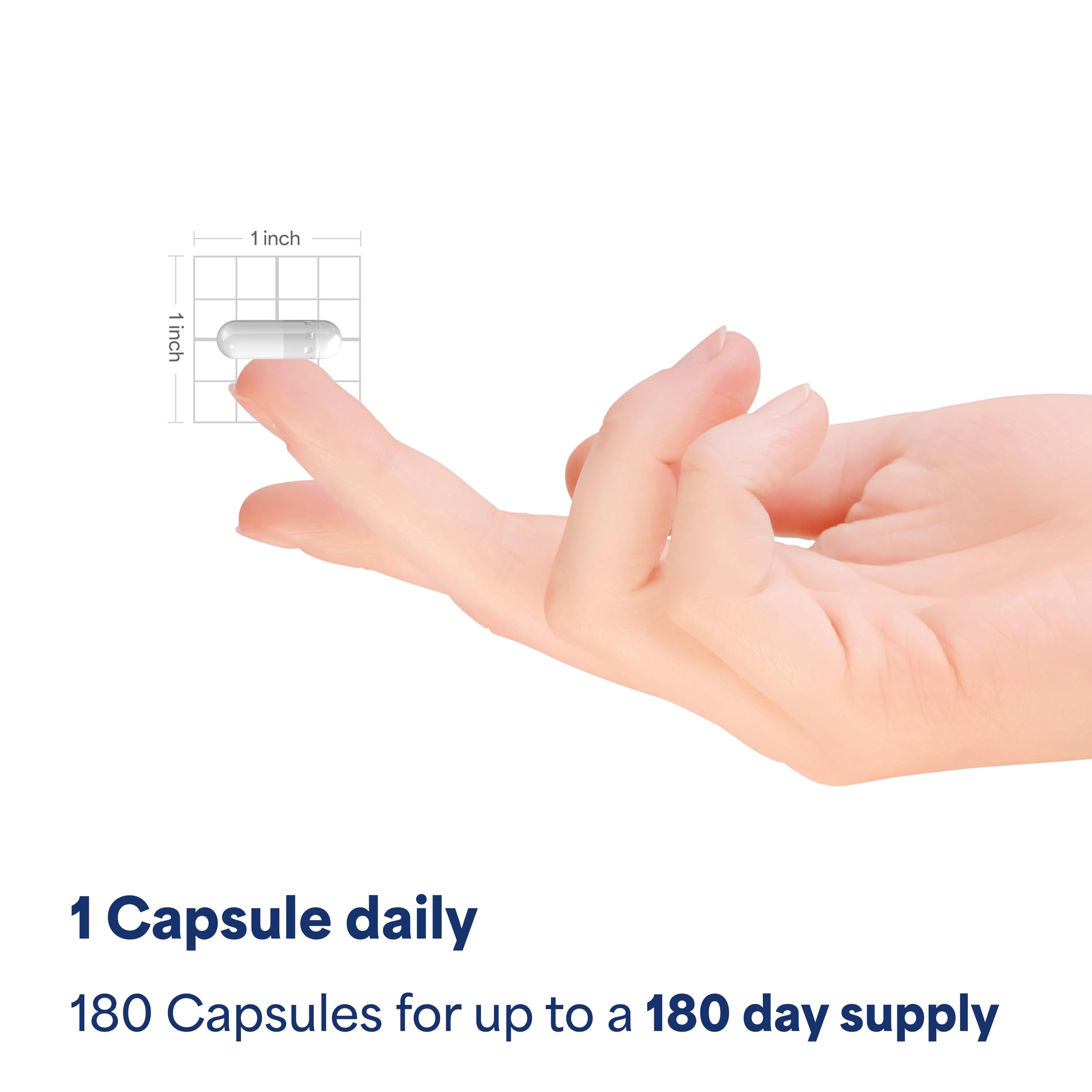 Puritan's Pride Turmeric Curcumin 500mg, 180 Rapid Release Capsules | Standarized to 95% Cucuminoids, Herbal Dietary Supplement for Antioxidant Health
