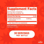 Wellah Creatine Monohydrate Capsules (3000 mg) 120 Capsules