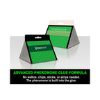 MaxGuard Pantry Moth Traps (4 Traps Trial Pack) Extra Strength Pheromones | Non-Toxic Sticky Glue Trap for Food and Cupboard Moths in Your Kitchen | Trap and Kill Seed Grain Flour Meal Moths |