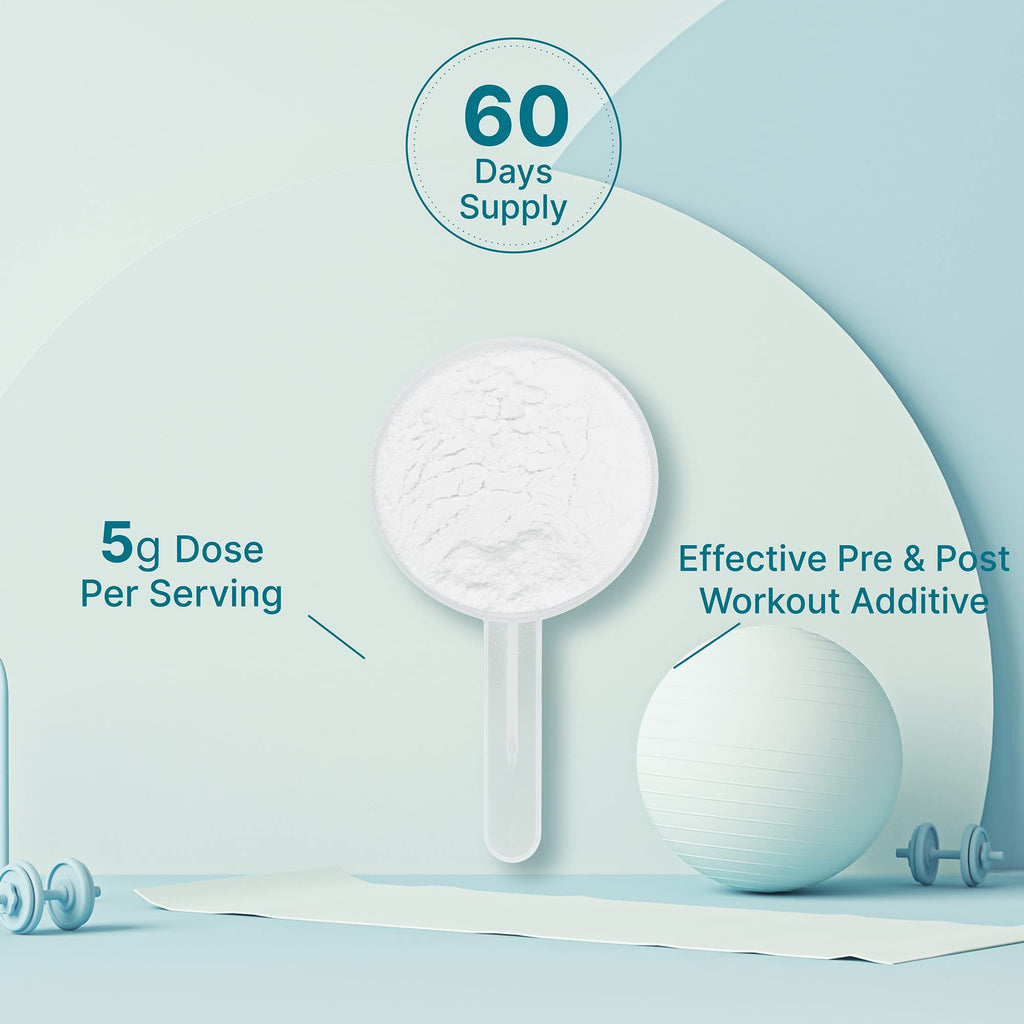 Micronized Creatine Monohydrate, 60 Servings, 5g Per Serving (300g/0.7lb) | Fast Absorbing & Unflavored | Supports Strength, Power & High-Intensity Training* | Vegan, Keto, Non-GMO
